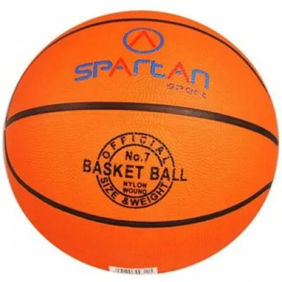 Minge baschet Florida Spartan GR 5