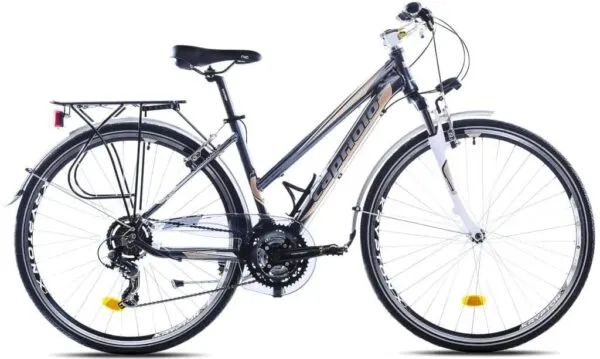 Bicicleta Capriolo Roadster Lady silver-grey 19