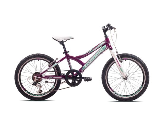 Bicicleta Capriolo 20 Diavolo 200 bordo-turqoise