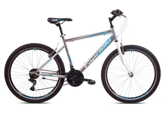 Bicicleta Capriolo Passion Man gri-blue 19