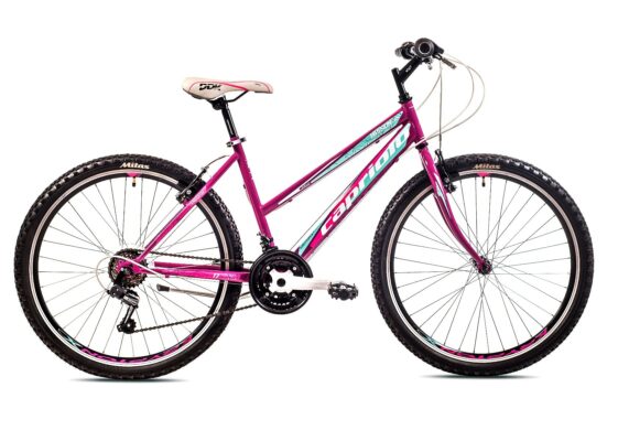 Bicicleta Capriolo Passion Lady purple-blue 19