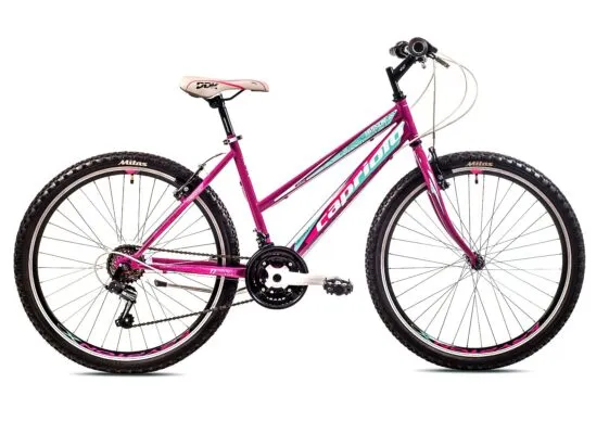 Bicicleta Capriolo Passion Lady purple-blue 19