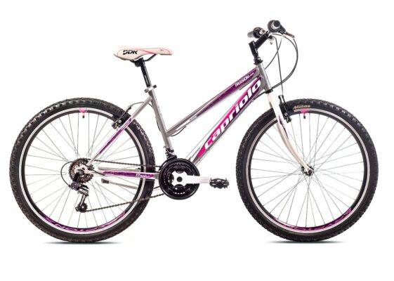 Bicicleta Capriolo Passion Lady grey-purple 19