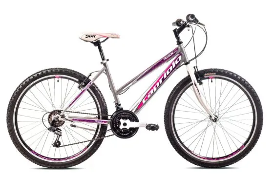 Bicicleta Capriolo Passion Lady grey-purple 19