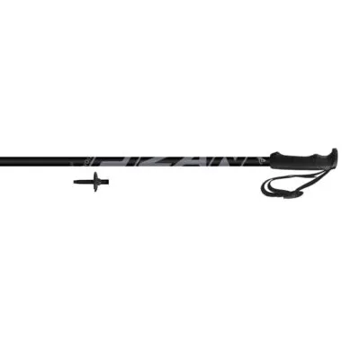 Bete schi FIZAN Action Alpin schwarz 135cm