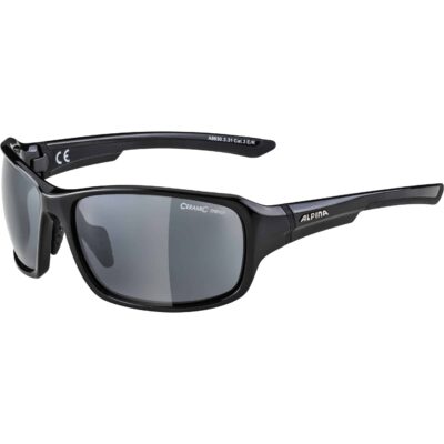 Ochelari Alpina LYRON black-grey CM