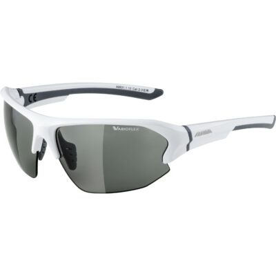 Ochelari Alpina LYRON HR white-grey VL