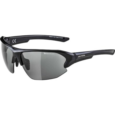 Ochelari Alpina LYRON HR black VL