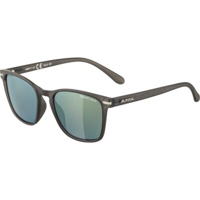 Ochelari Alpina YEFE grey transparent mat