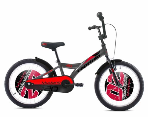 Bicicleta Capriolo Mustang black-green 20