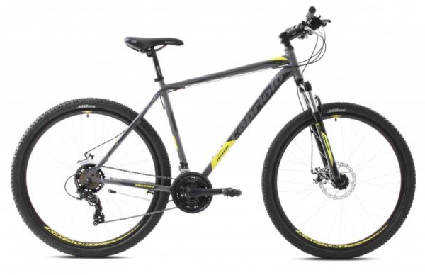 Bicicleta Capriolo Oxygen 29 silver-green 19