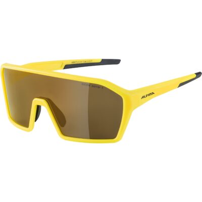 Ochelari ALPINA RAM HM+ pineapple mat