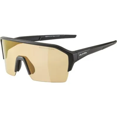 Ochelari ALPINA RAM HR HVLM+ black mat