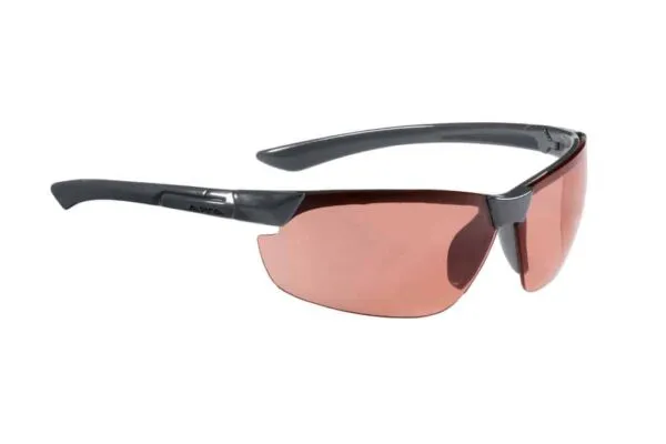 Ochelari ALPINA DRAFF anthracite