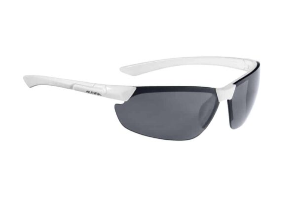 Ochelari ALPINA DRAFF white