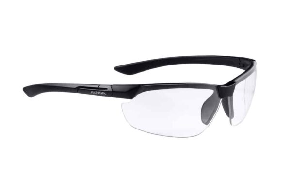Ochelari ALPINA DRAFF black mat