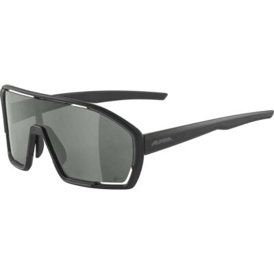 Ochelari ALPINA BONFIRE Q-LITE black mat