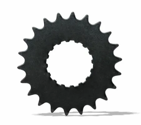 Pinion Bosch e-bike 20T BDU2XX