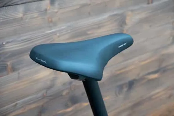 e-bike Winora Yucatan X12 Low i720Wh 12-G Deore 2024 S metalic stone blue matt - imagine 18