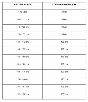Bete schi HEAD JOY 120cm - imagine 2