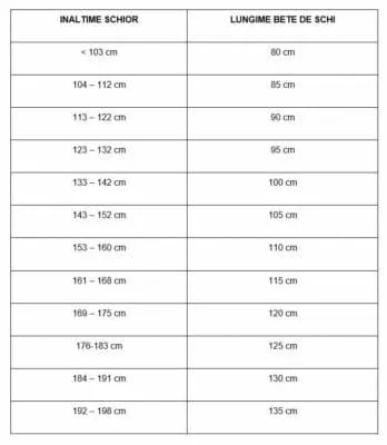 Bete schi HEAD JOY 125cm - imagine 2