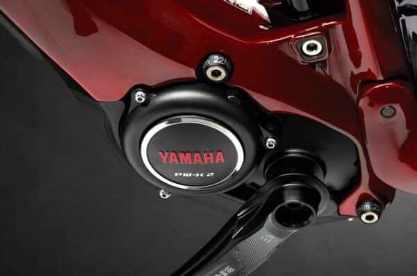 e-bike Haibike AllMtn CF 12 i600 12-G XT glossy matte red black S - imagine 2
