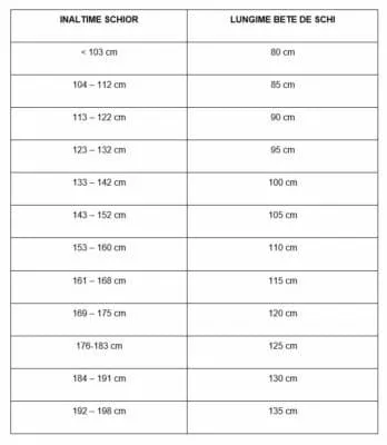 Bete schi HEAD MULTI 120cm - imagine 2