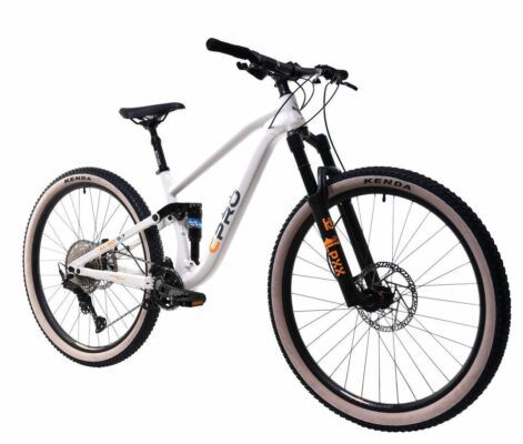 Bicicleta Capriolo 29 ALL-GO 9.7 grey light 16 S - imagine 2