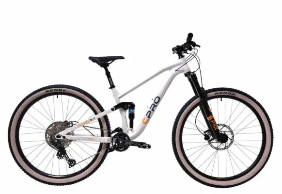 Bicicleta Capriolo 29 ALL-GO 9.7 grey light 17.5 M