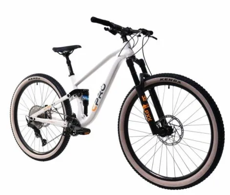 Bicicleta Capriolo 29 ALL-GO 9.7 grey light 17.5 M - imagine 2