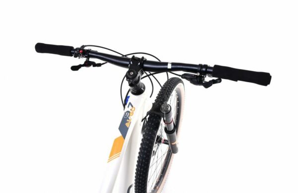 Bicicleta Capriolo 29 ALL-GO 9.7 grey light 17.5 M - imagine 3