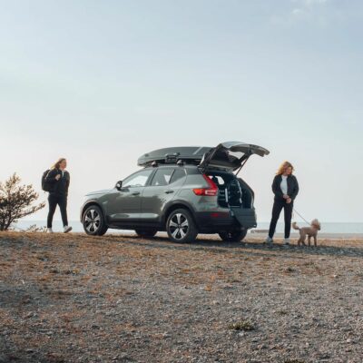 Thule Allax cutie transport caine S negru gri - imagine 8
