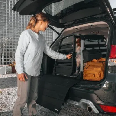 Thule Allax cutie transport caine XS negru gri - imagine 6