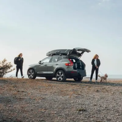 Thule Allax cutie transport caine XL compact negru gri - imagine 8