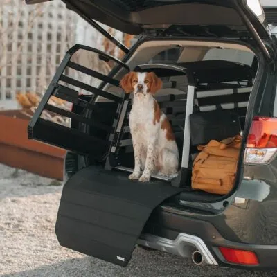 Thule Allax protectie Standard pentru cutie transport caine - imagine 4