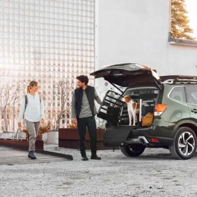 Thule Allax protectie Standard pentru cutie transport caine - imagine 5