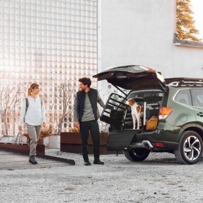 Thule Allax protectie Wide pentru cutie transport caine - imagine 4