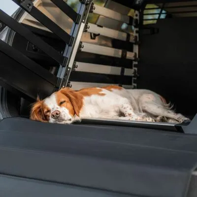 Thule Allax covoras Standard pentru cutie transport caine - imagine 4