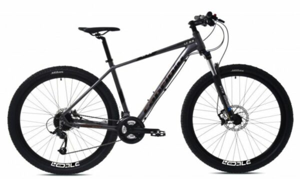 Bicicleta Capriolo MTB LC 9.3 29 grey black 19