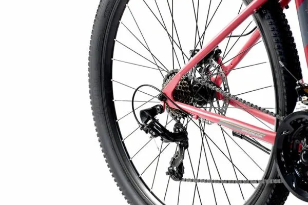 Bicicleta Capriolo MTB LC 9.X 29 rasberry 17 - imagine 4
