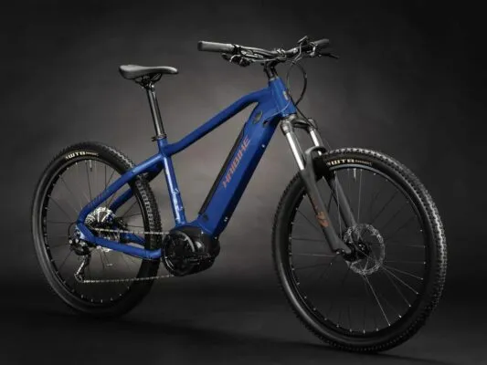 e-bike Haibike Alltrack 4 29 i500Wh 9-G Alivio 2025 L blue leather - imagine 2