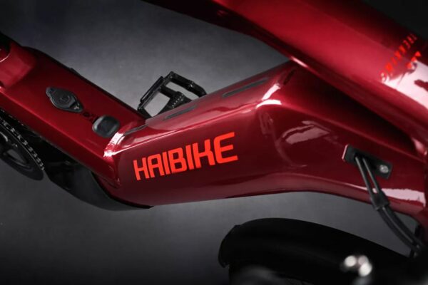 e-bike Haibike Trekking 11 High 12-G GX Eagle i750Wh 2024 M tuscan/neon red gloss glossy - imagine 5
