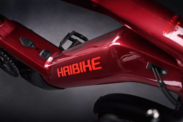 e-bike Haibike Trekking 11 High 12-G GX Eagle i750Wh 2024 S tuscan/neon red gloss glossy - imagine 5
